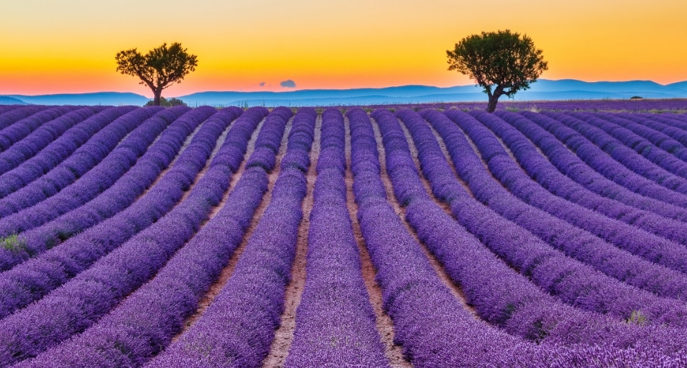 Provence