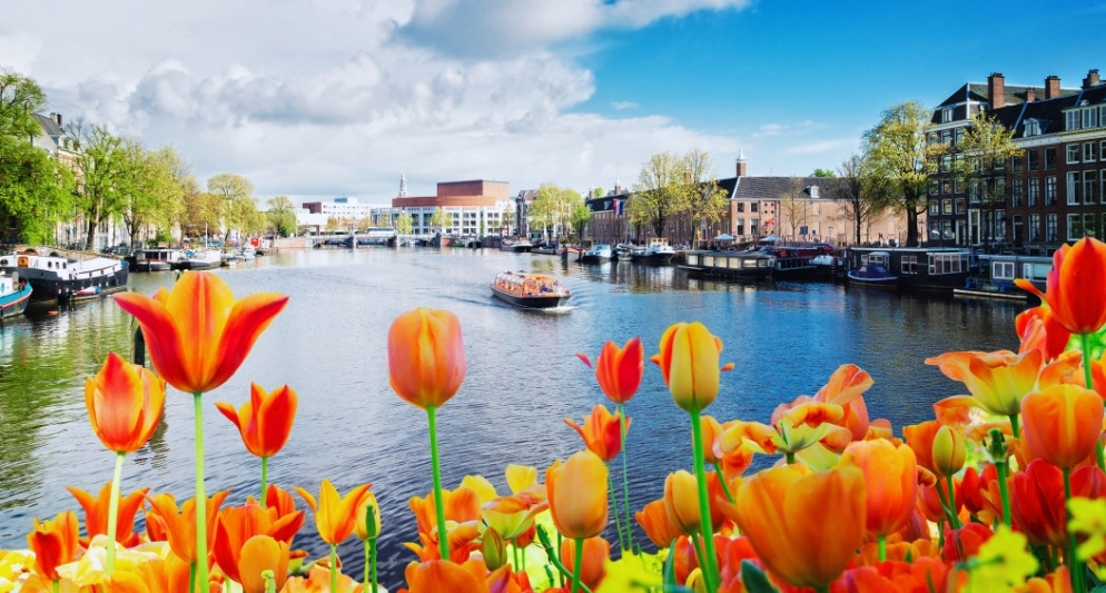 10 Địa Điểm Du Lịch Hà Lan Làm Say Lòng Du Khách