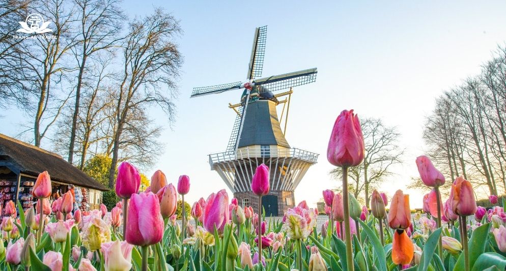 Điểm mới của lễ hội hoa Keukenhof 2025