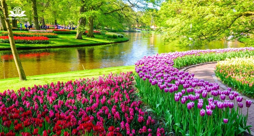 Kinh nghiệm khi đến lễ hội hoa Keukenhof 2025 lần đầu