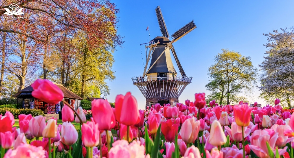 Top lý do nhất định nên du lịch châu Âu mùa xuân