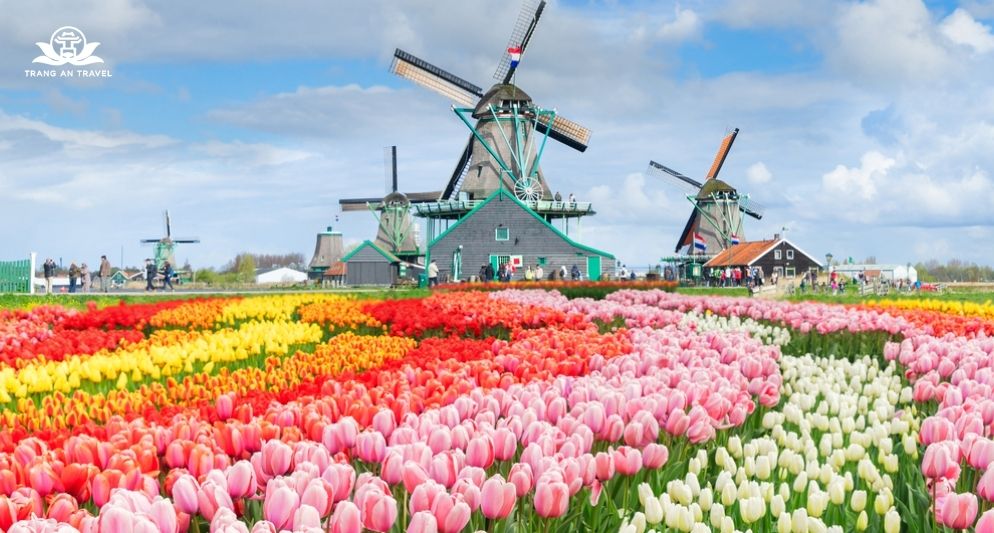 Thời tiết châu Âu tháng 4: Thông tin chi tiết về nhiệt độ và trang phục