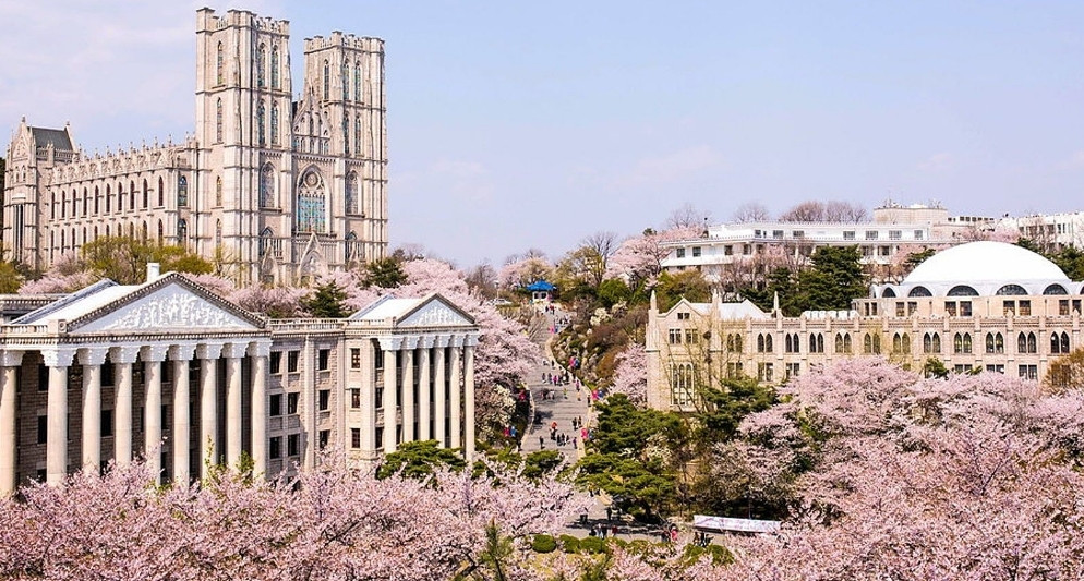 Những trường đại học ở Seoul ngắm hoa anh đào đẹp