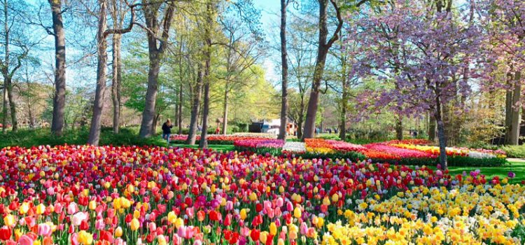 TOUR: ĐỨC – HÀ LAN – BỈ - LUXEMBOURG – THỤY SĨ - PHÁP