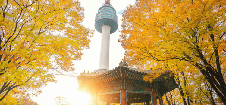 Du lịch Hàn – Đài – Nhật – Đâu là điểm đến tuyệt vời cho mùa thu?